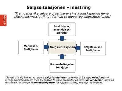 Salgstrening_mestring1