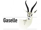 gaselle